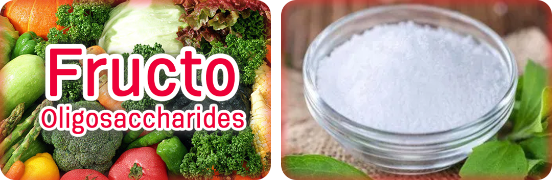 ประโยชน์ของฟรุคโต โอริโอแซคคาไรด์